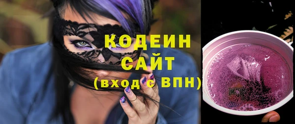 амф Гусь-Хрустальный