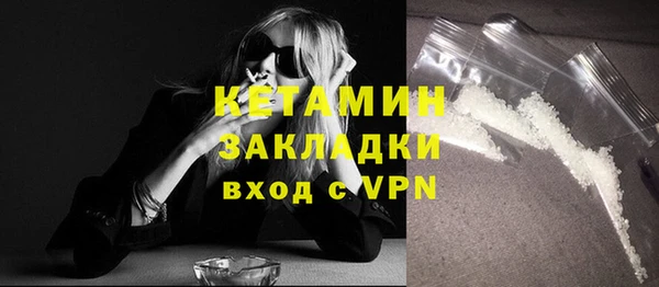 амф Гусь-Хрустальный
