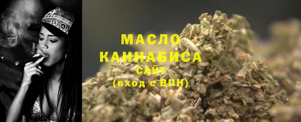 амф Гусь-Хрустальный