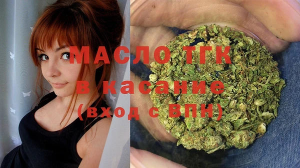 амф Гусь-Хрустальный