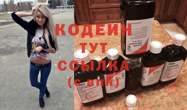 амф Гусь-Хрустальный