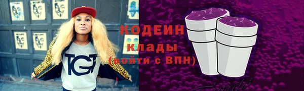 амф Гусь-Хрустальный