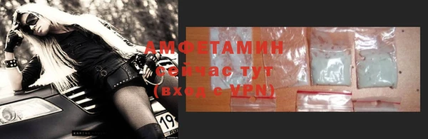 амф Гусь-Хрустальный