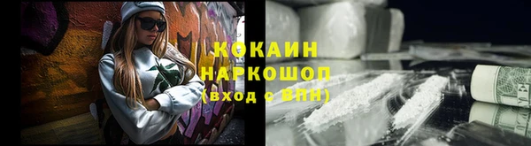 амф Гусь-Хрустальный