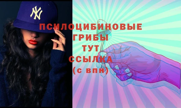 героин Гусев