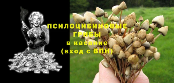 амф Гусь-Хрустальный