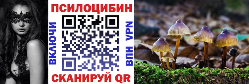 Купить  Себеж  Псилоцибиновые грибы Cubensis 